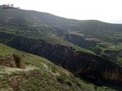 甘肃省,定西市,通渭县,榜罗镇,张坪村