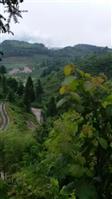 凤凰村 有我来介绍一下  这里是贵州省福泉市陆平镇凤凰村小冲组车上接白岩组  风景很美  好看  