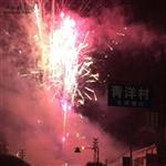 广东省,揭阳市,普宁市,南径镇,青洋村