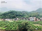 广东省,河源市,连平县,上坪镇,古坑村