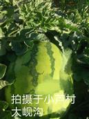 甘肃省,白银市,靖远县,大芦乡,小芦村