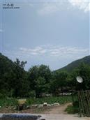 蔡川村 看这里蓝天白云，绿树成荫，避暑的最佳胜地