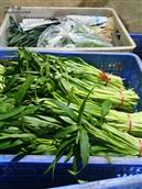 重庆市,酉阳县,酉酬镇,江西村
