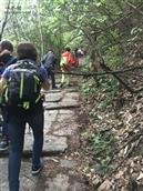 安徽省,黄山市,歙县,北岸镇,白杨村