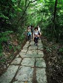 安徽省,黄山市,歙县,北岸镇,白杨村