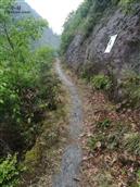 安徽省,黄山市,歙县,北岸镇,白杨村