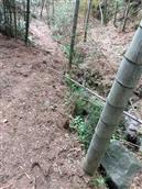 安徽省,黄山市,歙县,北岸镇,白杨村