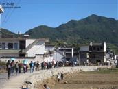 安徽省,黄山市,歙县,北岸镇,白杨村