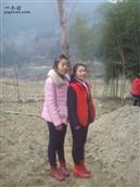 陕西省,汉中市,宁强县,阳平关镇,小楚坝村