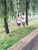 山东省,泰安市,东平县,州城街道,李桃园村