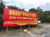 广东省,河源市,连平县,上坪镇,古坑村