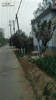 山东省,泰安市,东平县,州城街道,李桃园村