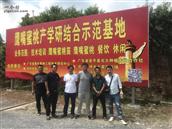 广东省,河源市,连平县,上坪镇,古坑村