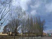 内蒙古,呼和浩特市,土默特左旗,察素齐镇,大阳村