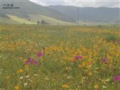 四川省,凉山州,盐源县,长柏乡,荞满村