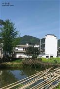 安徽省,黄山市,歙县,北岸镇,白杨村