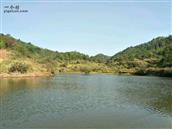 江西省,赣州市,定南县,老城镇,坳头村