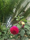 江西省,赣州市,定南县,老城镇,坳头村