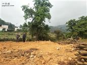 江西省,赣州市,定南县,老城镇,坳头村