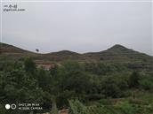 山东省,临沂市,沂水县,夏蔚镇,土洼村