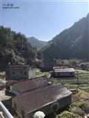 浙江省,丽水市,莲都区,雅溪镇,金竹村