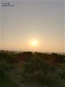 北大庄科村 看，快看，向刚出升的太阳方向看去，那是一片杏扁树，上面接瞒了农民们的喜悦。