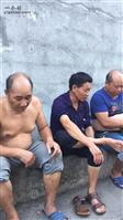 浙江省,丽水市,莲都区,雅溪镇,金竹村