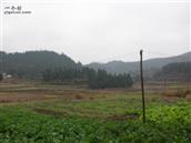长房村 站在菩提嘴，一眼可以望到几个社。我们的家乡美极了。