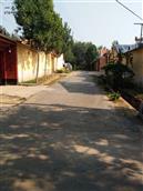 山东省,滨州市,惠民县,石庙镇,东陈村