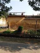 山东省,滨州市,惠民县,石庙镇,东陈村