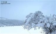 龙子沟村 北国雪景，