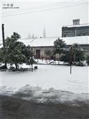 新河村 冬天家里落雪的模样