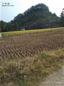 湖南省,株洲市,茶陵县,马江镇,浪滩村