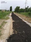 山东省,东营市,东营区,六户镇,东六户村