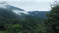 陕西省,汉中市,宁强县,青木川镇,蒿地坝村
