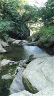 陕西省,汉中市,宁强县,青木川镇,蒿地坝村