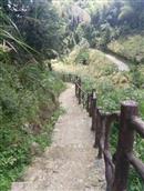 浙江省,丽水市,莲都区,雅溪镇,箬坑村