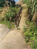 浙江省,丽水市,莲都区,雅溪镇,箬坑村