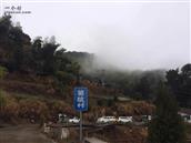 浙江省,丽水市,莲都区,雅溪镇,箬坑村