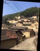 浙江省,丽水市,莲都区,雅溪镇,箬坑村