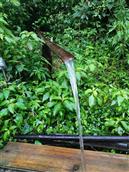 贵州省,黔东南州,黎平县,永从乡,豆洞村