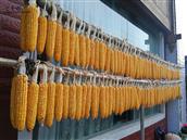 贵州省,黔东南州,黎平县,永从乡,豆洞村