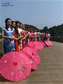 广西,百色市,右江区,阳圩镇,华村