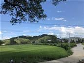 江西省,景德镇市,浮梁县,勒功乡,白茅村