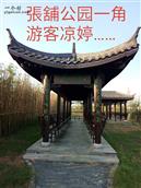 安徽省,滁州市,天长市,张铺镇,八墩村