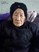 北陈村 我的老母亲