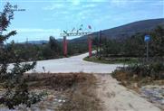甘肃省,天水市,甘谷县,谢家湾乡,自坪村