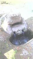 王门村 原始蛤蟆泉