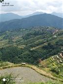 贵州省,黔东南州,从江县,刚边乡,九星村