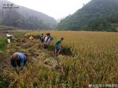 湖南省,湘西州,凤凰县,两林乡,岔河村